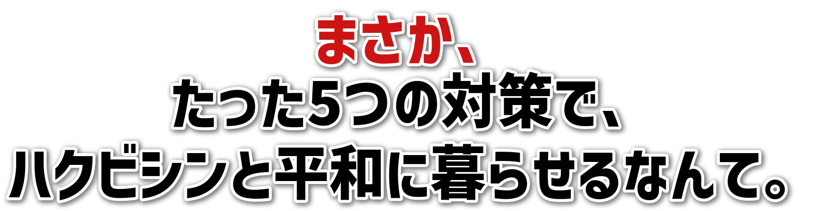 まさか、<br>たった5つの対策で、<br>ハクビシンと平和に暮らせるなんて。