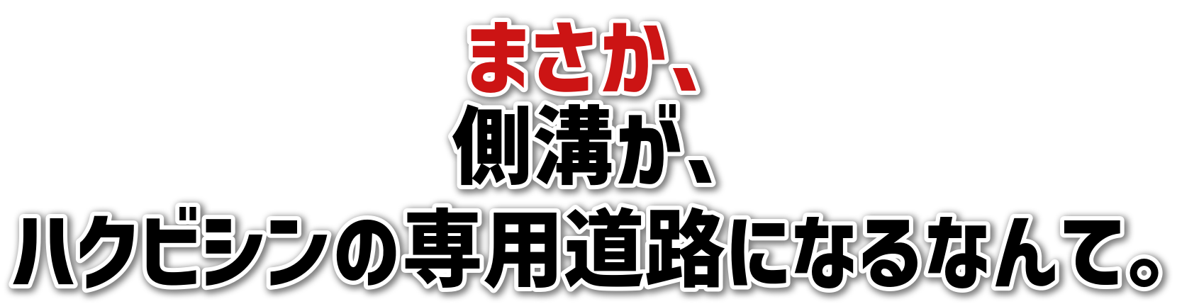 まさか、<br>側溝が、<br>ハクビシンの専用道路になるなんて。