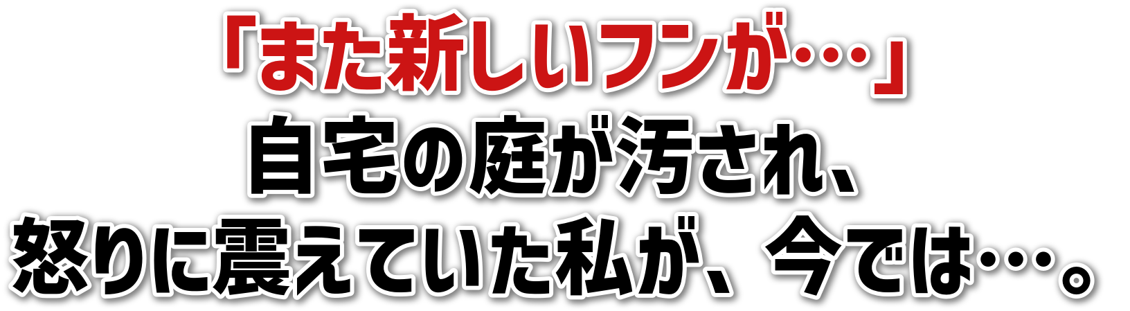 「また新しいフンが…」<br>自宅の庭が汚され、<br>怒りに震えていた私が、今では…。