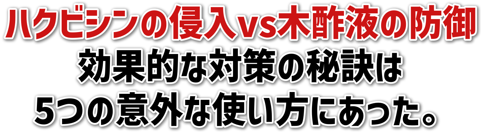 ハクビシンの侵入vs木酢液の防御<br>効果的な対策の秘訣は<br>5つの意外な使い方にあった。