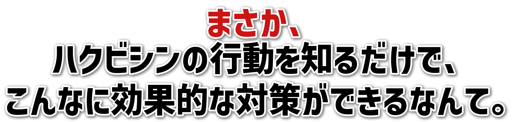 まさか、<br>ハクビシンの行動を知るだけで、<br>こんなに効果的な対策ができるなんて。