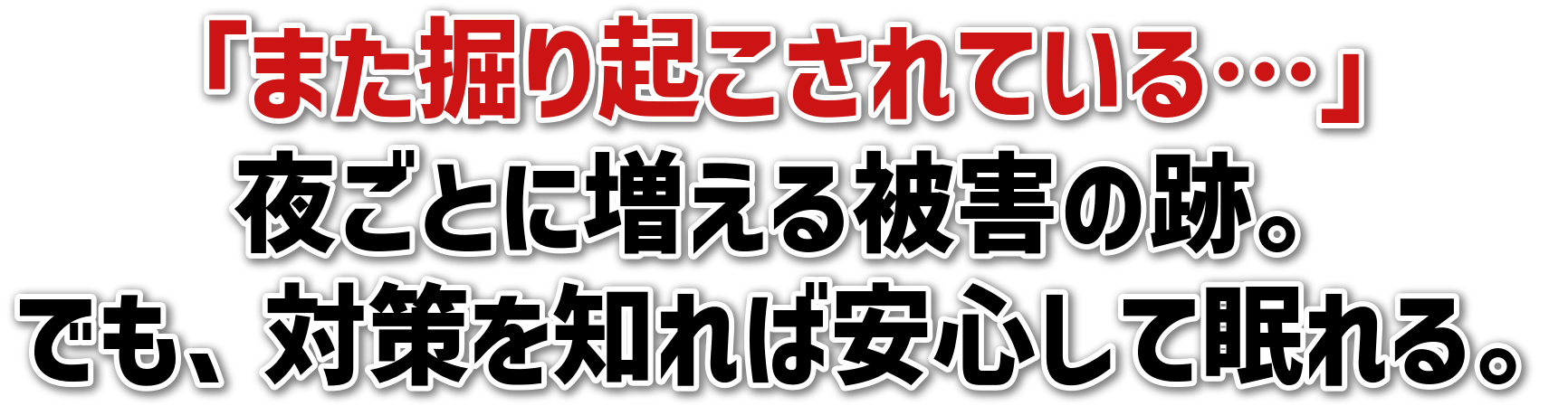 「また掘り起こされている…」<br>夜ごとに増える被害の跡。<br>でも、対策を知れば安心して眠れる。